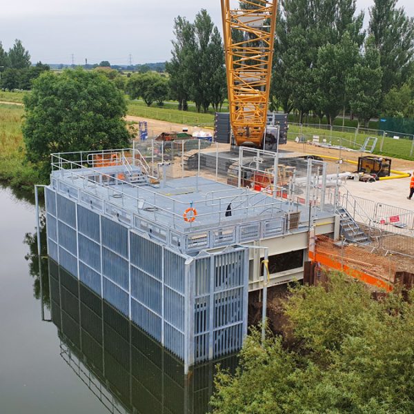 2019_yw_loftsome_eels_01